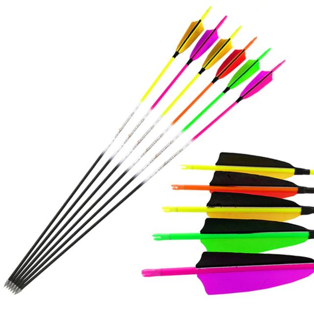 Flechas de Carbono para Arco Longo de Caça - Conjunto de 12 Peças em 4 Cores, Eixos de 30 Polegadas para Tiro com Arco Recurvo e Longbow