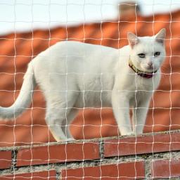 Rede de proteção para animais de estimação, rede de nylon resistente e segura para evitar que gato saia ou antiqueda da varanda - Image 2