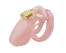 Gaiola de castidade masculina, brinquedos sexuais pequenos/padrão, dispositivo de castidade masculino, gaiola peniana com 5 anéis de tamanho, trava de latão, uretral erótico - Image 2