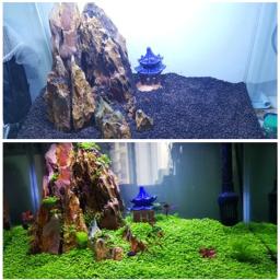 Substrato de aquário para plantas aquário, solo de planta de água, crescimento de grama, decoração de gramado - Image 6