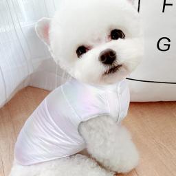 Casaco impermeável leve para cães e gatos, roupas para animais, cães pequenos e médios, roupas fofas para cachorros, quente para o inverno, XS-2XL - Image 5