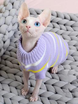 Roupas de gato fashion fofo listrado suéter para gato eshinx inverno fantasia quente pet com capuz malha pulôver moletom mascotas gatos - Image 3