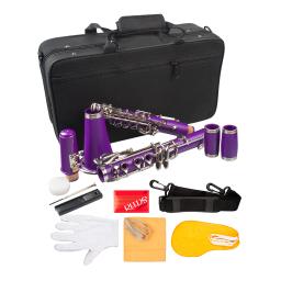 Roxo abs clarinete bb cupronickel banhado a níquel 17 chave com pano de limpeza luvas chave de fenda instrumento woodwind - Image 1