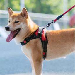 Arnês ajustável com trela para cão pequeno e grande, colete reflexivo, pet fornecimentos, respirável - Image 3