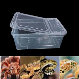 Grande caixa de répteis com tigela de alimentação, plástico transparente inseto terrário, animais de estimação, reprodução Food Feed Box - Image 2