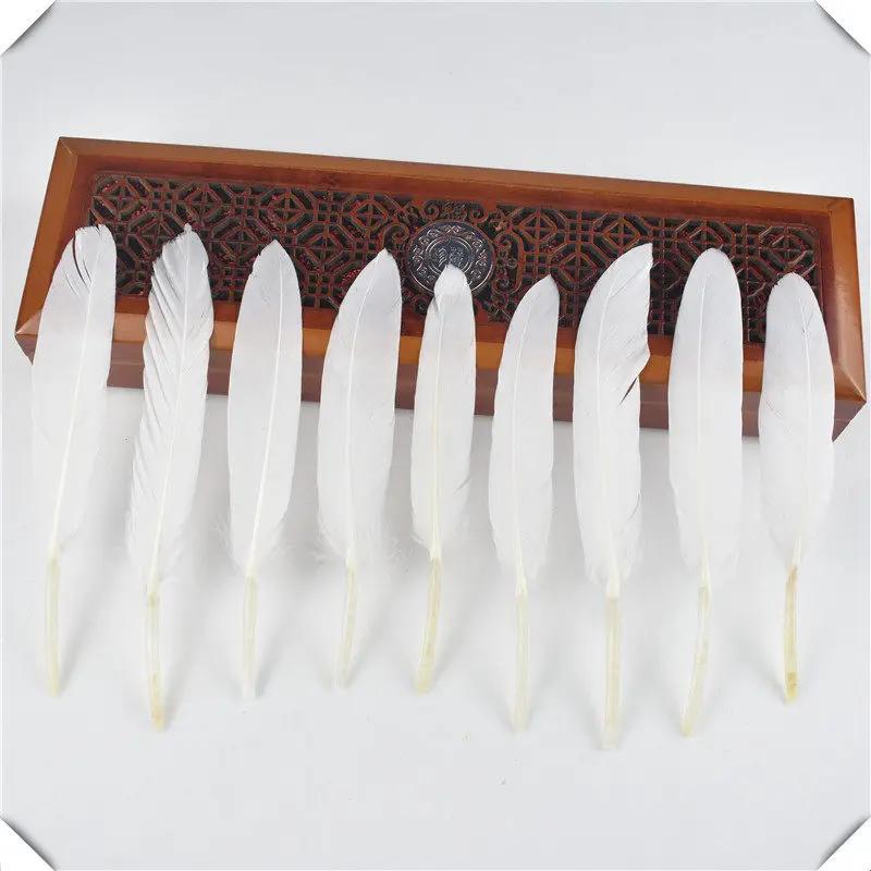 Penas naturais de pato tingido para artesanato, penas de decoração diy para fazer joias, cães de sonhos pruas 10-15cm - Image 1
