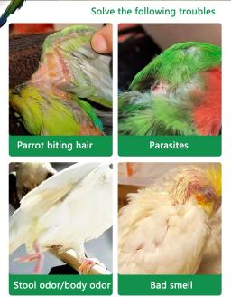 Pássaro repelente de insetos papagaio suprimentos além de penas, piolhos, ácaros, esterilização, in vitro inseto spray, starling thro - Image 2