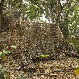 Redes de Camuflagem Resistentes a Rasgos para Caça e Cegos, 1,5 m de Largura, Poliéster, Rede de Camuflagem, Casa, Jardim, Toldos, Sombra Solar, Carro, Tenda UV - Image 5