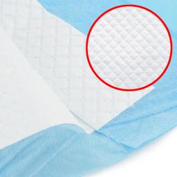 Super Absorbent Pet Fralda, Dog Training Pee Pads, Tapete de fralda de urina descartável, Cage Mat, Pet Shop, Hot - Image 6
