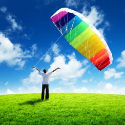 Frete grátis 2.5m Dual Line Stunt Sports soft Kites com controle bar kitesurfing brinquedos ao ar livre voando kiteboard fábrica koi novo - Image 2