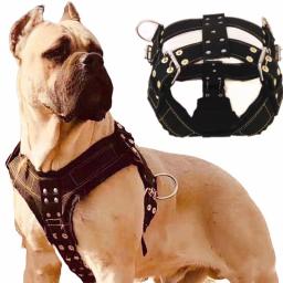 Coleira para cachorro grande, coleira para cachorro de grande porte, pit bull, acessórios de produtos para animais de estimação - Image 1