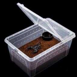Terrário para répteis, caixa de plástico transparente, transporte de insetos, caixa de alimentação para reprodução, transporte de comida viva, drop shipping - Image 3