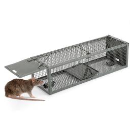 Ratinho ratinho armadilha armadilha de ratazana armadilha de ratazanas ratazanas ratazanas ratazanas ratazanas ratazanas ratazanas ratazanas ratazanas ratazanas ratazanas ratazanas ratazanas ratazanas - Image 1