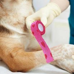 Bandagem elástica autoadesiva para o cão de estimação gato bandagem perna capa protetor cinta médica bandagem coesa não tecida bandagem - Image 3