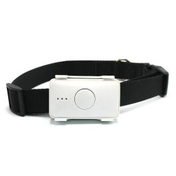 Coleira com rastreador gps para cachorro de estimação, com configuração 4g, rydlk105b, para animais de estimação - Image 2