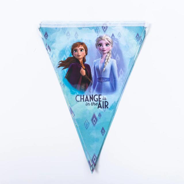 Decoração Encantadora para Festas Frozen e Temas Disney para Aniversários de Bebês e Batizados de Meninas
