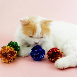 Brinquedos de gato interativos bola para gatinhos gatos acessórios atacado dropshipping barato jogo pet brinquedos para gatos suprimentos produtos - Image 4