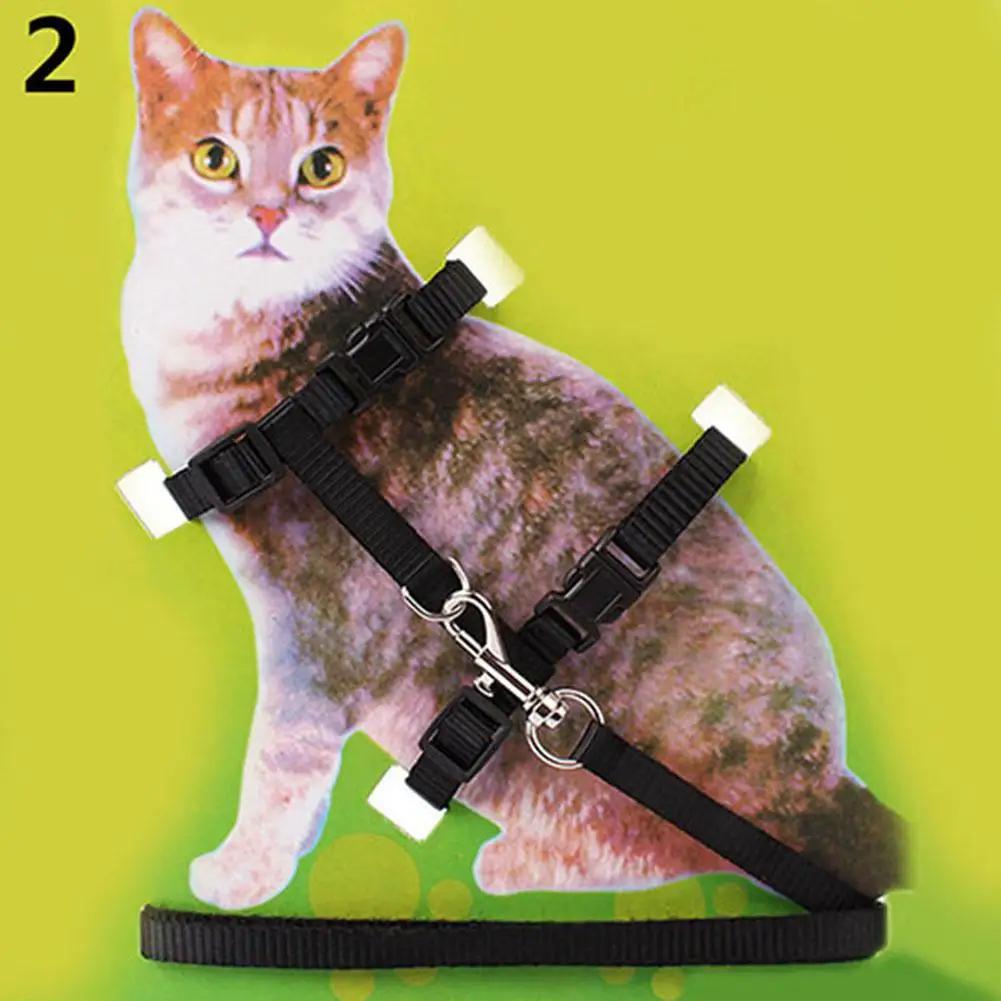 Coleira ajustável de nylon para animais de estimação, guia de chumbo, corda de segurança e tração - Image 2