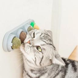 Catnip natural comestível tratar gato doces lambendo lanches, Brinquedos saudáveis gatinho, Promover suprimentos nutricionais - Image 4