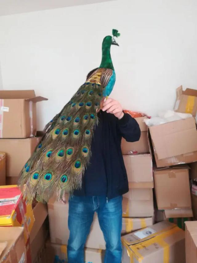 Lindo Adereço de Festa e Decoração de Jardim: Pavão de 80cm com Penas Coloridas - Presente Ideal para o Natal