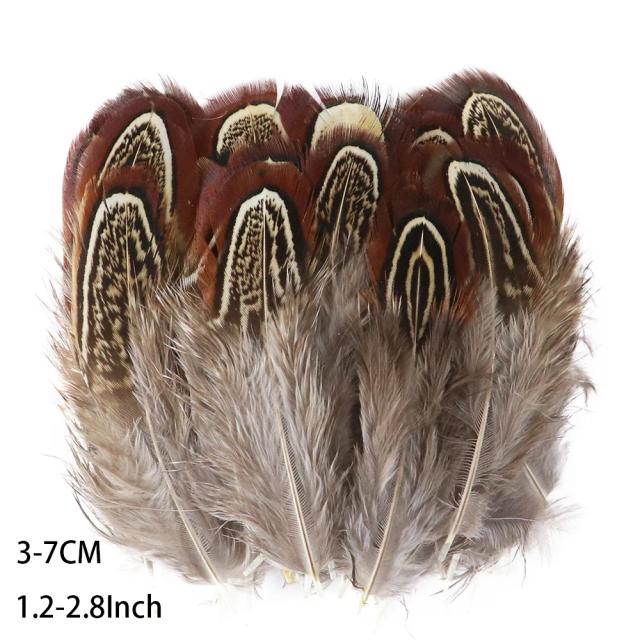 Penas de Pavão e Faisão em 24 Estilos Naturais para Artesanato, Joias e Decoração - Acessórios de 5-15cm em Atacado