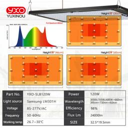 Sam-ng Tech-LED Board para plantas crescer tenda, hidroponia Growbox, Veg Bloom lâmpada, LM301H, 120W, 240W - Image 5