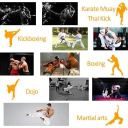 Saco De Boxe Curvo para Adultos e Crianças, Equipamento De Boxe, Sacos De Perfuração Para Taekwondo, Muay Thai, Karatê, PU Training Paws Pads, 1 Pc, 2Pcs - Image 6