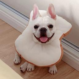 Colar elizabetano ajustável pet chapelaria brinde colar de pão pet anti-lambendo anel esterilização anti-risco - Image 4