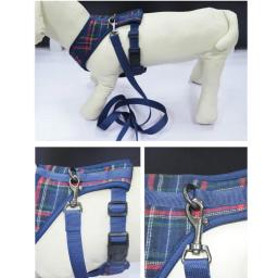 Suprimentos para animais de estimação trela conjunto cão arnês cão colete pet trela poliéster cinta peito fivela design pode ajustar o tamanho do busto - Image 5