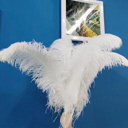 10 pçs natural branco avestruz pena artesanato diy pluma penas jóias fazendo festa de casamento natal plumas decoração 15-70cm - Image 5
