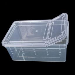 Terrário para répteis, caixa de plástico transparente, transporte de insetos, caixa de alimentação para reprodução, transporte de comida viva, drop shipping - Image 4