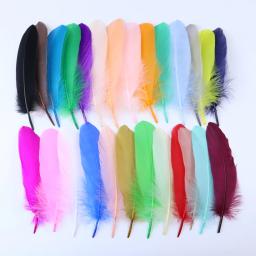 10/50/100 peças penas de ganso naturais tingidas várias penas para artesanato joias de casamento acessórios de festa 15-20cm/6-8 polegadas - Image 2