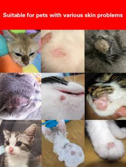 Cão pele doença tópica pomada infecção fúngica antipruriginoso antibacteriano cão micose eczema gato micose cuidado pomada - Image 4