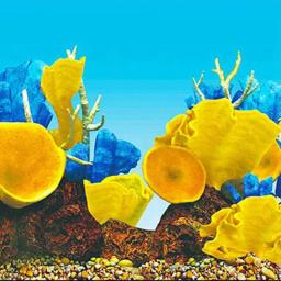 Papel de fundo para aquário, imagem hd, 3d, três dimensional, tanque de peixes, pintura de fundo, dupla face, aquário, decorati - Image 6