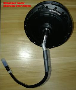 24v36v48v 250w350w bldc gear motor traseiro conduzido v/freio a disco para bicicleta elétrica 16 polegada-28 polegada mtb triciclo peça de conversão - Image 5