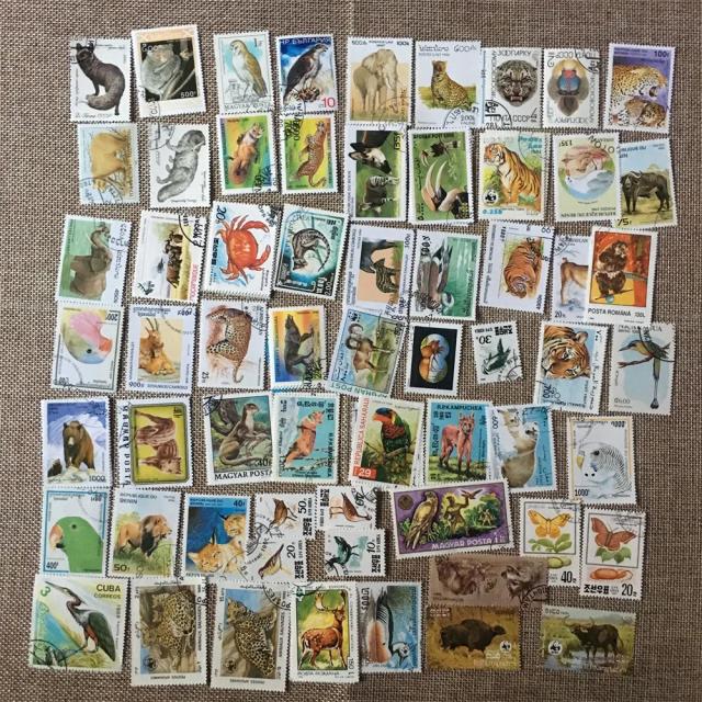 Conjunto de 50 Animais Selvagens Diversos com Selos Postais para Coleção