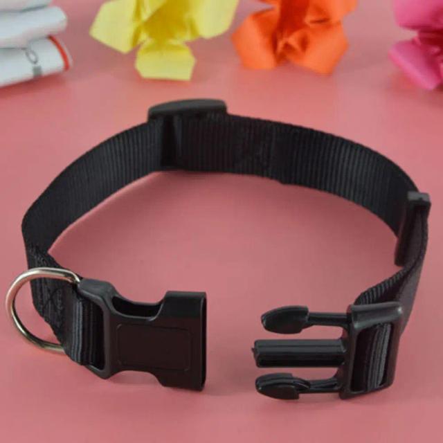 Peiteira de Segurança Ajustável em Nylon para Cães e Gatos com Fivela Resistente