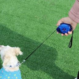 Coleira retrátil de 3m para cães, produto para animais de estimação, 10ft, coleira extensiva para cães pequenos, filhotes, chihuahua - Image 5
