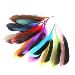 Penas naturais de pato selvagem, 4-6 polegadas/10-15cm de comprimento, acessórios decorativos de joias de faisão diy, 20 peças - Image 1