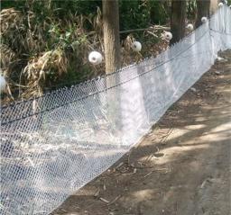 Jardim Nylon Pesca Net Pull, Anti Bird Nets, Rede De Reprodução, Varanda Rede De Segurança, Caindo Net, Proteção De Cerca, Gato E Cão - Image 3