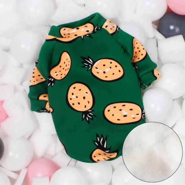 Coleção Inverno: Roupas Quentes e Fantasias Adoráveis para Cães e Gatos, incluindo Suéteres para Sphynx