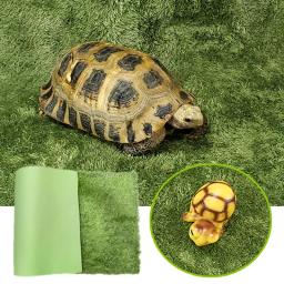 Réptil Grosso de Dupla Camada para Animais de Estimação, Tapete De Musgo, Material De Almofada, Sapo, Tartaruga, Cobra, Lagarto, Hidratante, Tapetes De Gramado Falso - Image 4