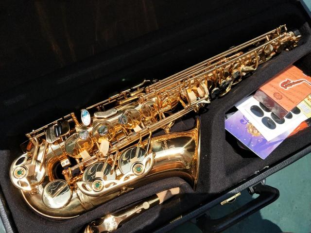 Saxofone Alto Japonês E-Flat de Alta Qualidade com Bocal para Performance Profissional