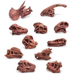 Crianças dinossauro crânio modelo jurássico fóssil crianças figuras de ação animais brinquedo simulação mini dinossauro conjunto educação brinquedos para menino - Image 3