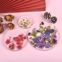 Resina UV Flores Secas, Adesivos de Flores Naturais, Decalque de Beleza Seca para Epóxi DIY, Enchimento Decoração Jóias, 1 Pacote - Image 3