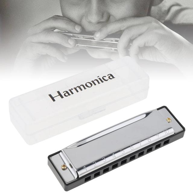 Gaita de Blues Profissional de 10 Furos em Aço Inoxidável para Crianças - Instrumento Musical de Alta Qualidade e Presente Perfeito