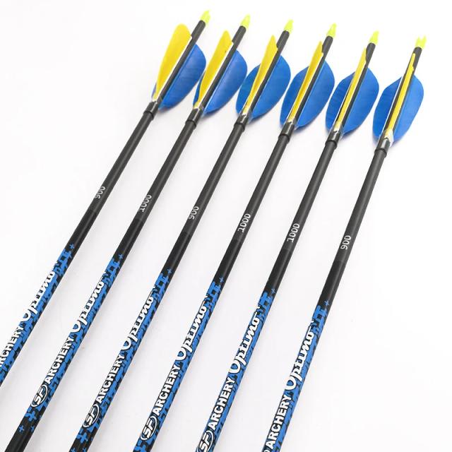 Conjunto Completo de Tiro com Arco de Carbono e Flechas para Caça - 12 Peças com Pontas em Penas de Peru e Acessórios em Diversas Colunas