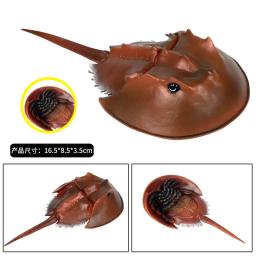 Figuras de ação colecionáveis de animais do mar, modelos de figuras de brinquedo, imitação de caranguejo, skate, ferradura, polvo, tartarugas do mar, presente para crianças - Image 2