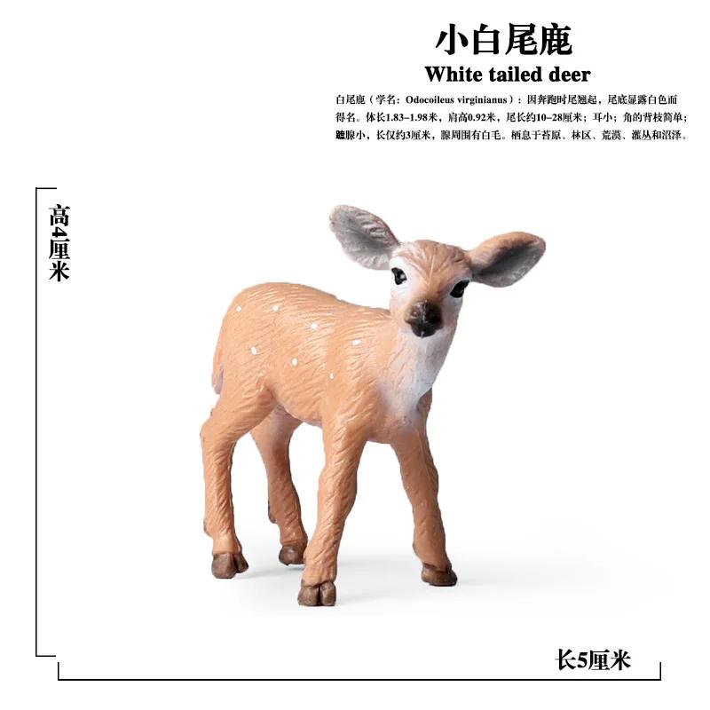 Boneco colecionável de animais selvagens, boneco de rena sika com cauda de veado, brinquedo para crianças e decoração da casa - Image 1