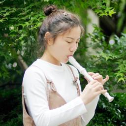 Irin clarinete barroco, instrumento de sopro, flauta vertical soprano com acessórios para instrumentos musicais, presente para iniciantes - Image 4